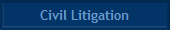 Civil Litigation
